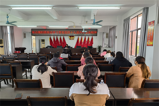 6，傳達(dá)十九屆六中全會(huì)精神.jpg