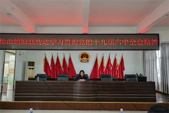 7，傳達(dá)十九屆六中全會(huì)精神（孫黨）.jpg