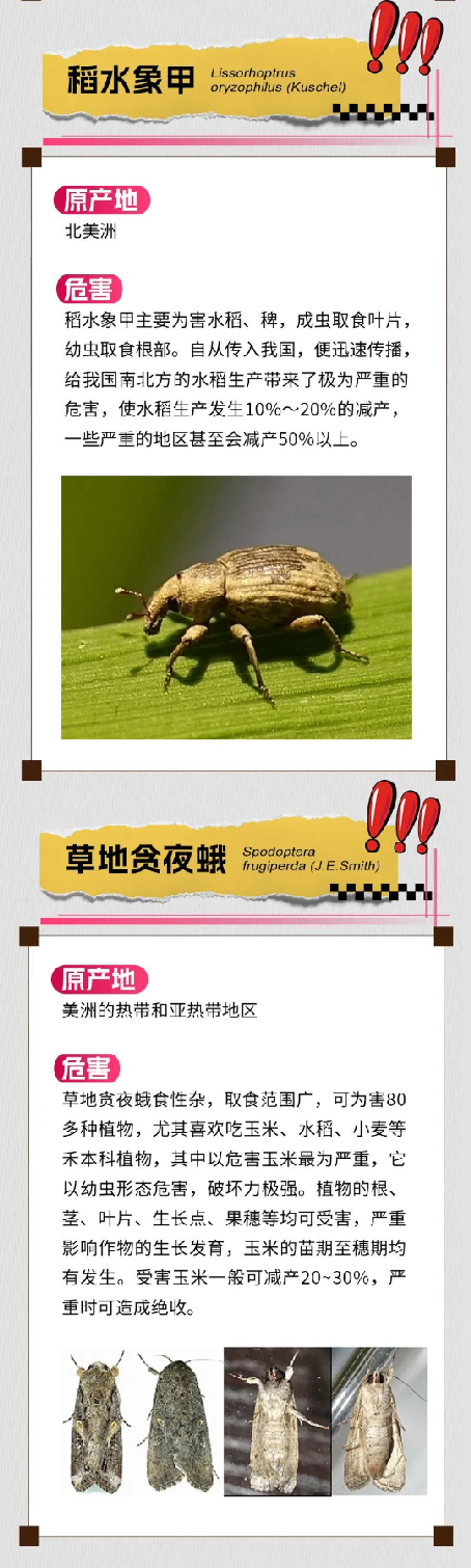 21.png